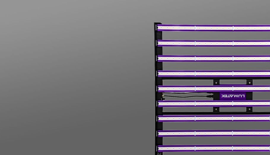 LED Beleuchtung Wurzelkauz